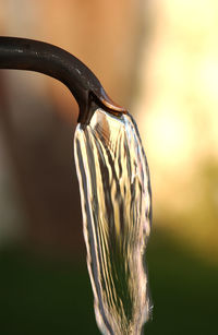 Close-up of feather hanging on metal