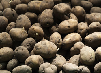 A lot of potatoes background