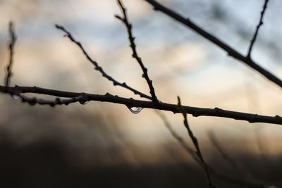 Close-up of raindrops on fence against sky