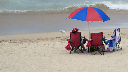 Rear view of umbrellas on beach