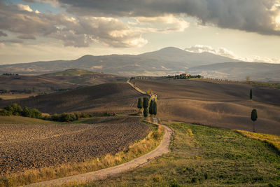 Scenic view of agricultural field against sky