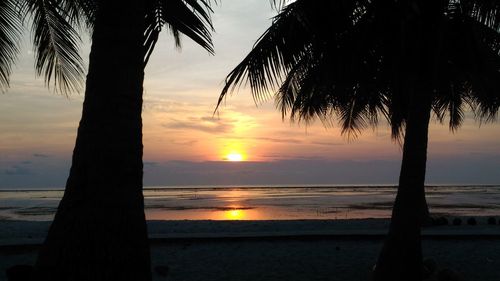 Silhouette palm tree by sea against sky during sunset