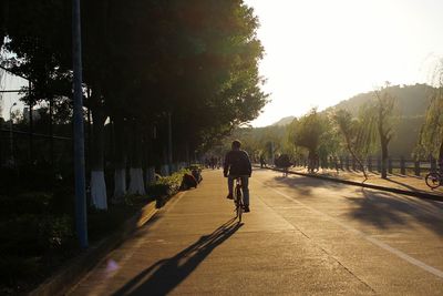 Rear view of man walking on road amidst trees