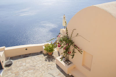 High angle view of plant sitting by sea