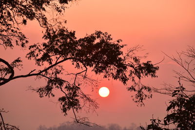 Low angle view of silhouette tree against romantic sky