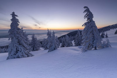 The beauty of winter on the snowy mountains. vladeasa mountains - romania