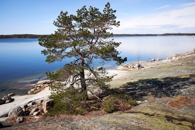 Scenic view of lake against sky