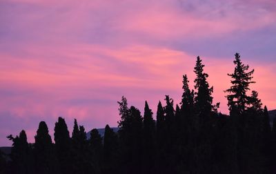 Low angle view of silhouette trees against sky during sunset