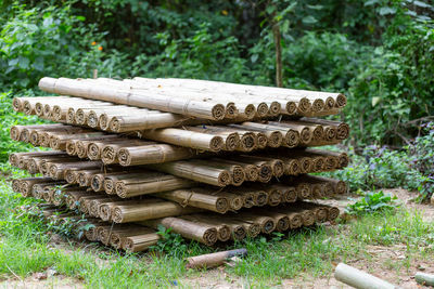 Close-up of logs