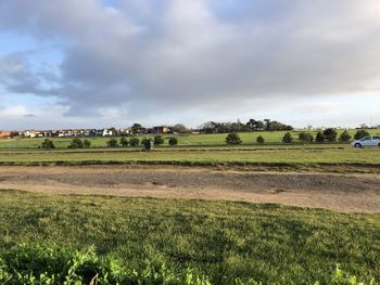 Scenic view of field against sky