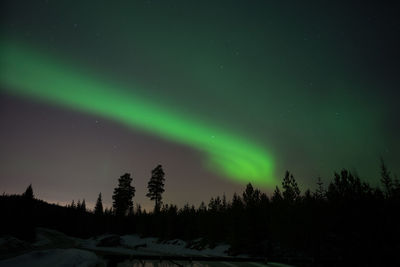 Scenic view of trees against sky at night