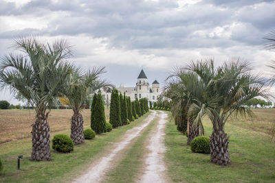 Panoramic shot of palm trees and buildings against sky