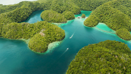 Sugba lagoon. beautiful landscape with blue sea lagoon, national park, siargao island, philippines
