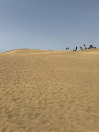 land