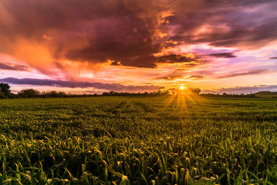 Scenic view of field against sky at sunset