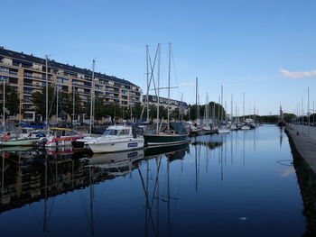 Sailboats moored in harbor