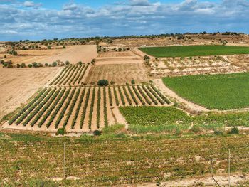 Scenic view of agricultural field against cloudy sky