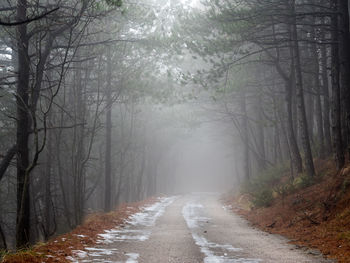 Road amidst trees in forest during winter
