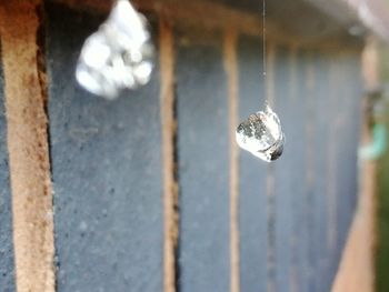 Close-up of decoration hanging outdoors