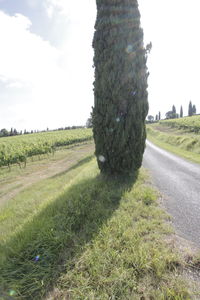 Scenic view of land against sky