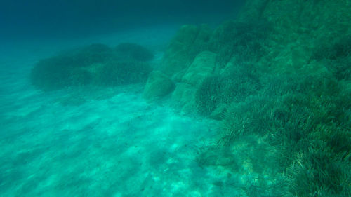 Aerial view of blue sea