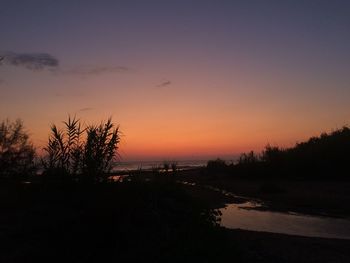 Silhouette trees by sea against sky during sunset