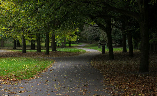 Curved footpath in park