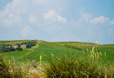 Scenic view of farm against sky