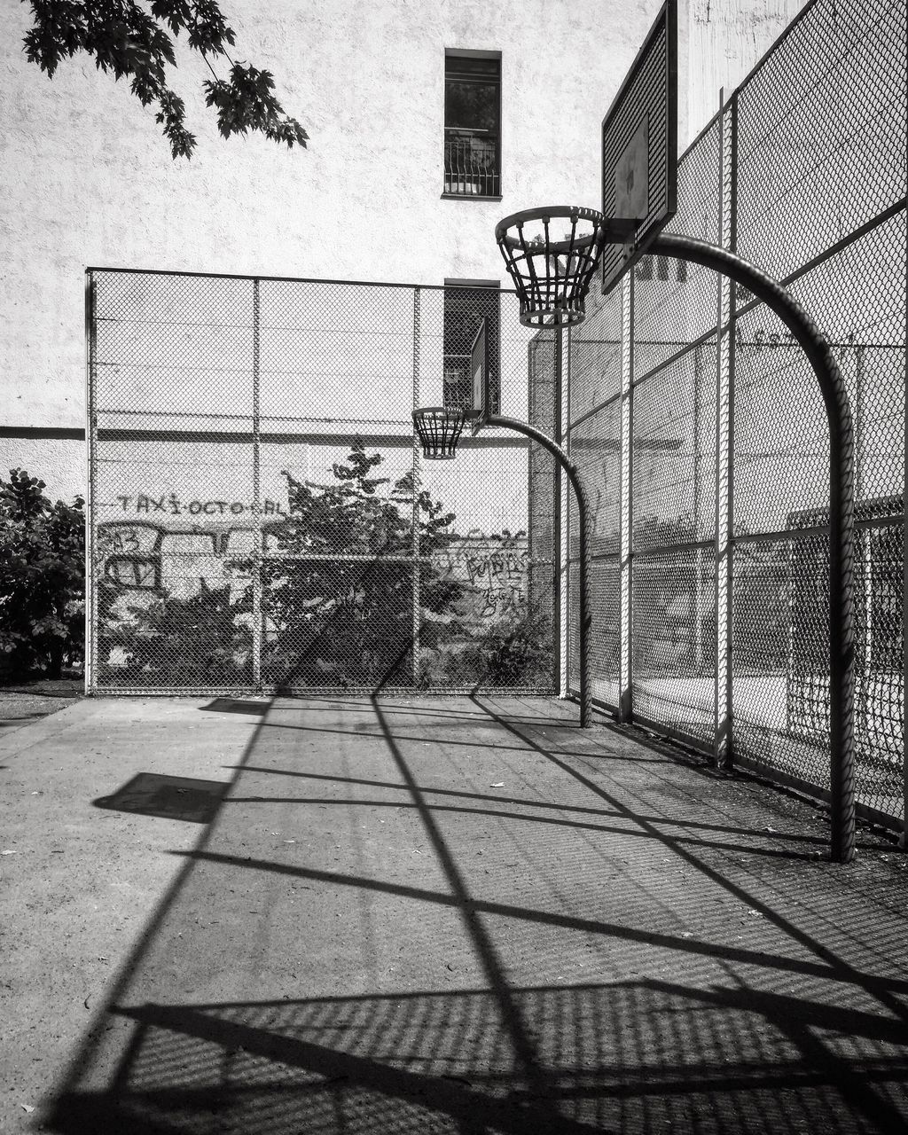 building exterior, architecture, built structure, tree, outdoors, day, no people, basketball hoop, sky, nature