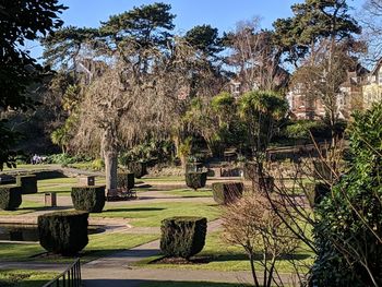 Plants and trees in front of built structure