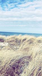 Scenic view of sea against cloudy sky