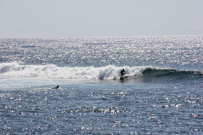 Man surfboarding in sea against clear sky