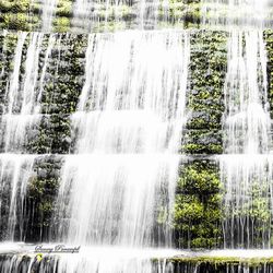 View of waterfall in forest