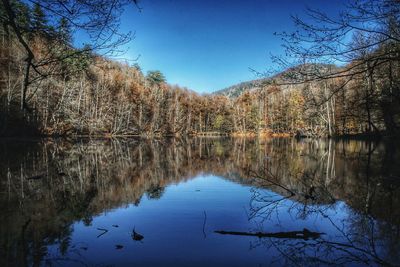 Reflection of trees in lake against sky