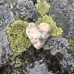 High angle view of heart shape on rock