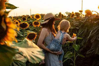 Beautiful mother holds a little son in her arms in a field of sunflowers at sunset