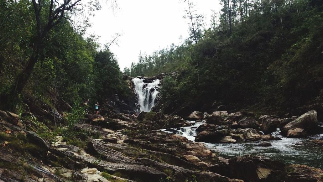 tree, forest, rock - object, beauty in nature, nature, scenics, waterfall, flowing water, water, tranquility, flowing, tranquil scene, stream, growth, motion, non-urban scene, rock, day, green color, outdoors