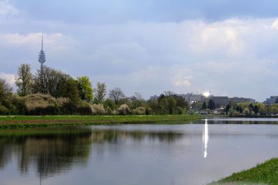 Reflection of trees in water