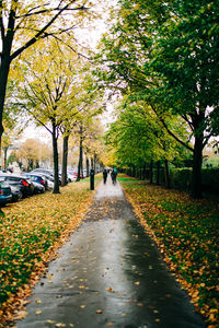 Road amidst trees in city during autumn