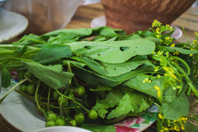 Close-up of chopped green leaves