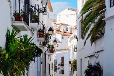Potted plants and buildings on street in town of altea, spain