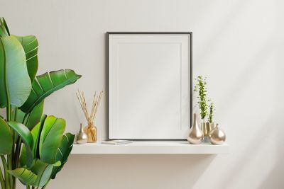 Potted plant on table