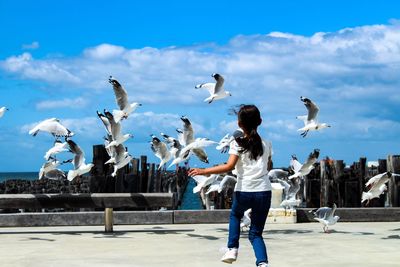 Low angle view of seagulls flying against sky