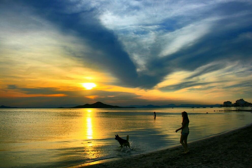 sunset, water, sky, sea, bird, animal themes, scenics, cloud - sky, beach, beauty in nature, tranquil scene, reflection, orange color, tranquility, silhouette, shore, idyllic, nature, horizon over water, animals in the wild