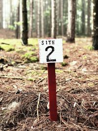 Information sign on tree trunk in forest