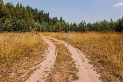 Road amidst trees on field against sky