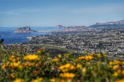 Scenic view of sea and cityscape against sky