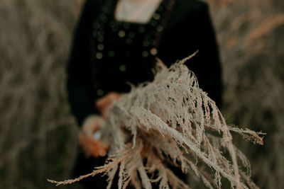 Close-up of woman holding leaf