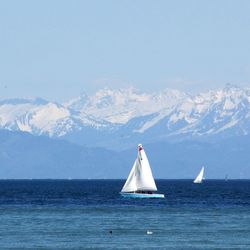 Sailboat sailing in sea against clear sky