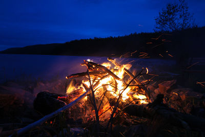 Low angle view of bonfire by tree against sky at night